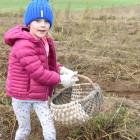 Fotka nr 5 z 9