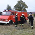 Fotka nr 4 z 31