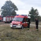 zdjęcie nr 12