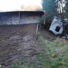 Fotka nr 3 z 13