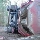 Fotka nr 5 z 13