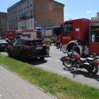 Fotka nr 4 z 10