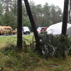 Fotka nr 2 z 5