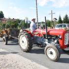 Fotka nr 2 z 20