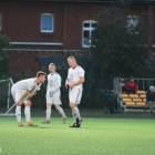 zdjęcie nr 12