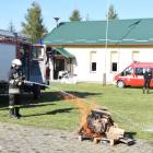 zdjęcie nr 7