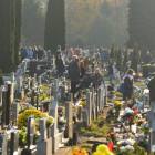 zdjęcie nr 14