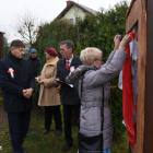 zdjęcie nr 15