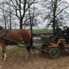 zdjęcie nr 7