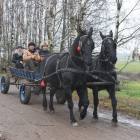 zdjęcie nr 10