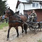 zdjęcie nr 17