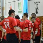 zdjęcie nr 15