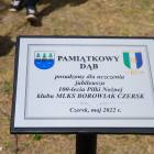 zdjęcie nr 7