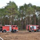 Fotka nr 4 z 11