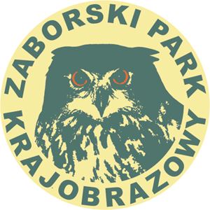 Zdjęcie: Chojnice wiadomości Chojnic czaschojnic