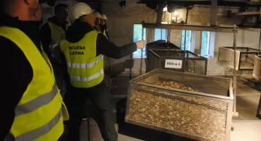 Zajrzyj do świata dawnych leśników – dzień otwarty w Klosnowie