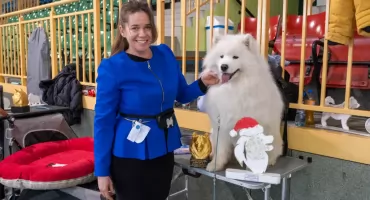 Paulina Szymańska i samoyed Stitch z sukcesami na Zimowej Wystawie Psów Rasowych