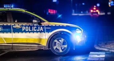 Śledczy: psy zginęły od strzałów. 70-latek z aktem oskarżenia
