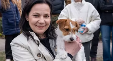 Alicja Drewczyńska i Fiona najlepsze w Chojnicach. Blisko 200 psów na wystawie