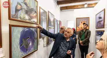 Tu nikt nie mówi „proszę się uśmiechnąć”. Najlepsze zdjęcia dzikiej przyrody w Chojnicach