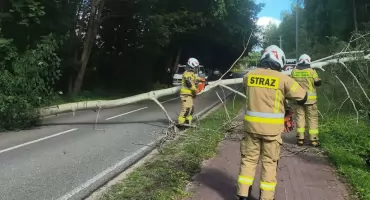 Silne porywy wiatru i ochłodzenie. Strażacy usuwali skutki wichury